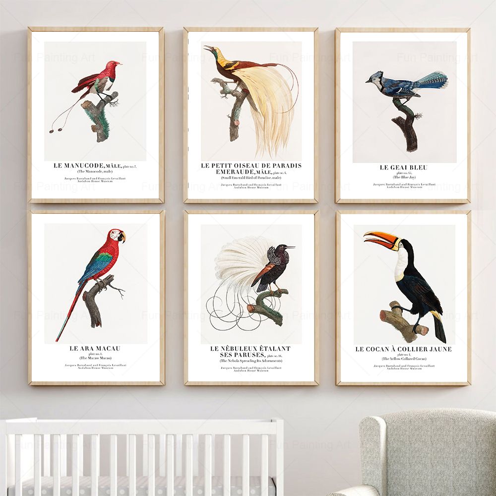 Vintage Paradise Bird Wall Art – Furniture Paradise & Hardware Ghaziabad Photos recenzja i cena