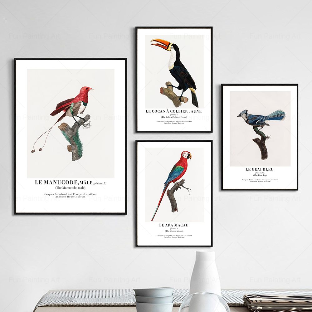Vintage Paradise Bird Wall Art – Furniture Paradise & Hardware Ghaziabad Photos recenzja i cena
