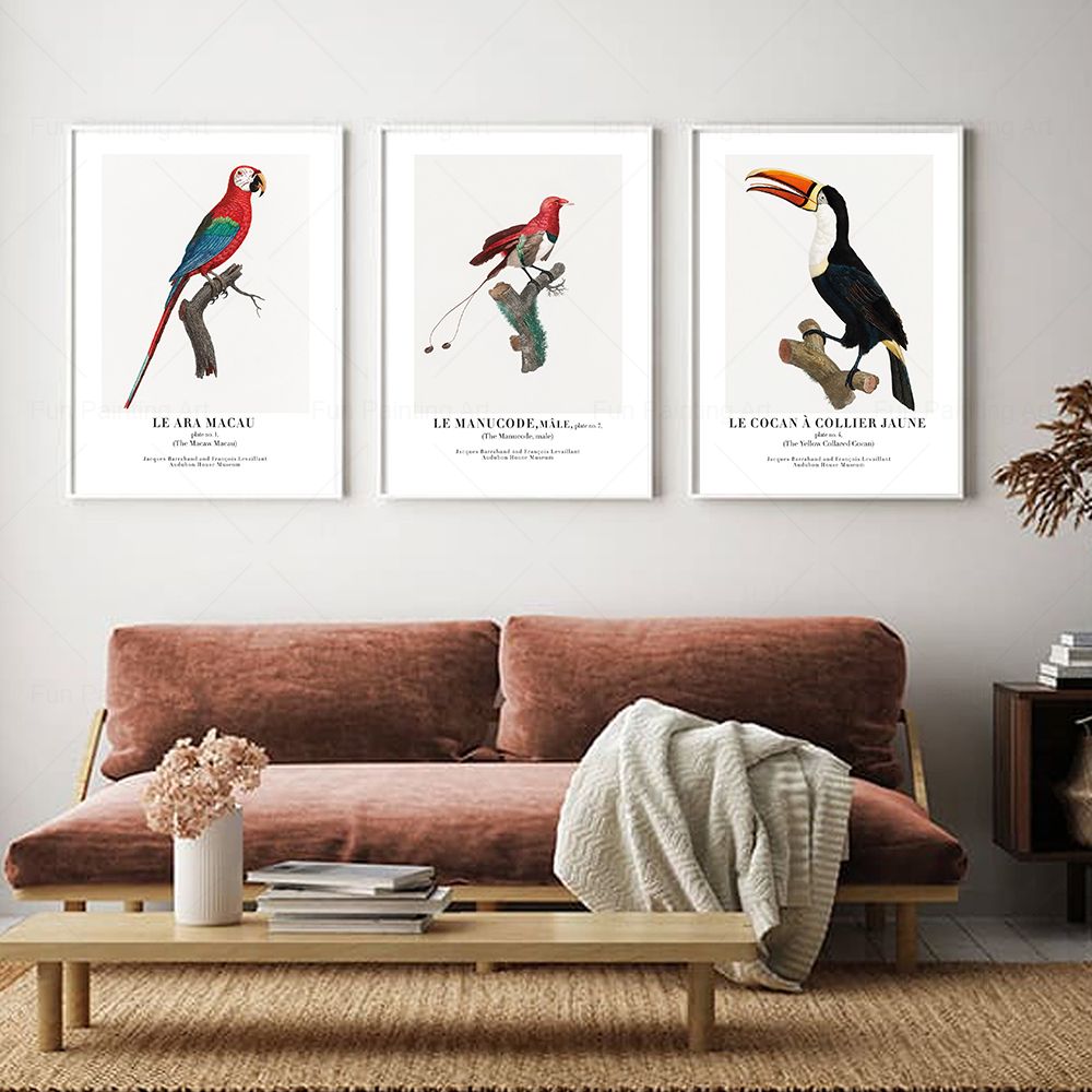 Vintage Paradise Bird Wall Art – Furniture Paradise & Hardware Ghaziabad Photos recenzja i cena