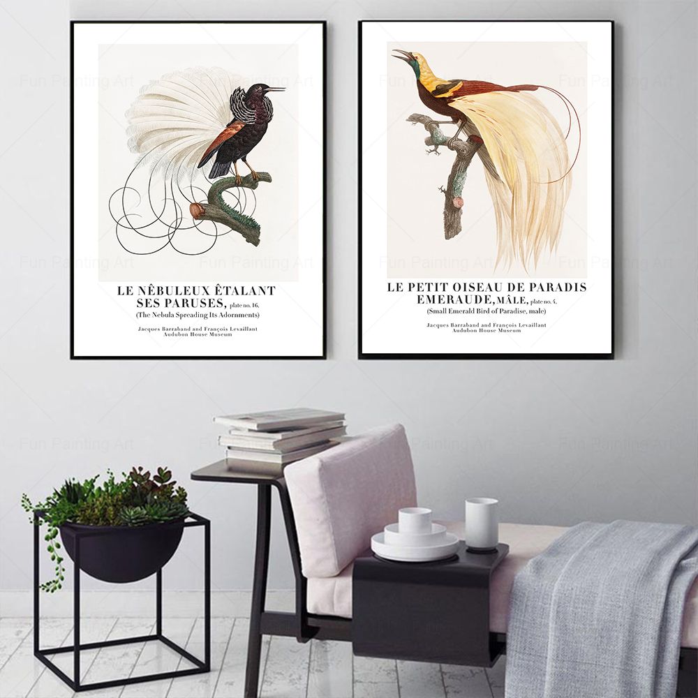 Vintage Paradise Bird Wall Art – Furniture Paradise & Hardware Ghaziabad Photos recenzja i cena